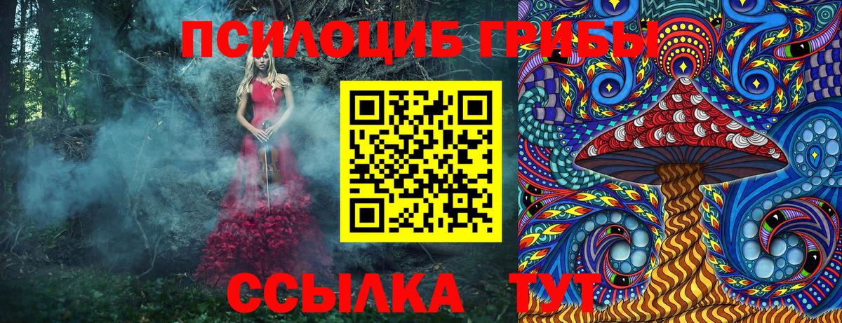 Фролово  Галлюциногенные грибы мухоморы  Вход с VPN 